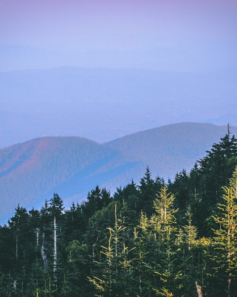 July Art Retreat in Asheville, North Carolina for Women| Restore & Create | 2027